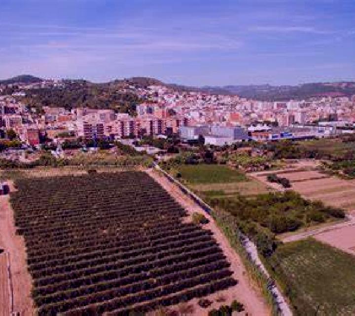 Abril 3 Sant Marti Vell escort