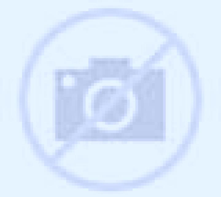 Abril Villangomez escort