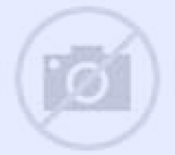 Adriana Allepuz escort