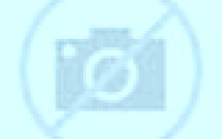 Adriana Torrejon de Velasco escort