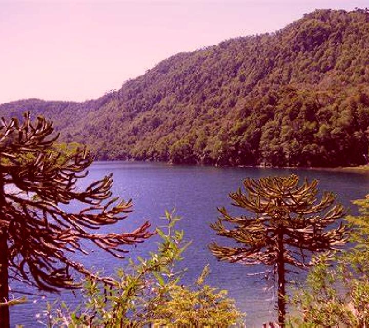 Aitana 2 Villamiel escort