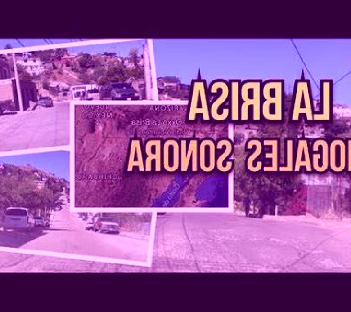 Alba Son Roca escort