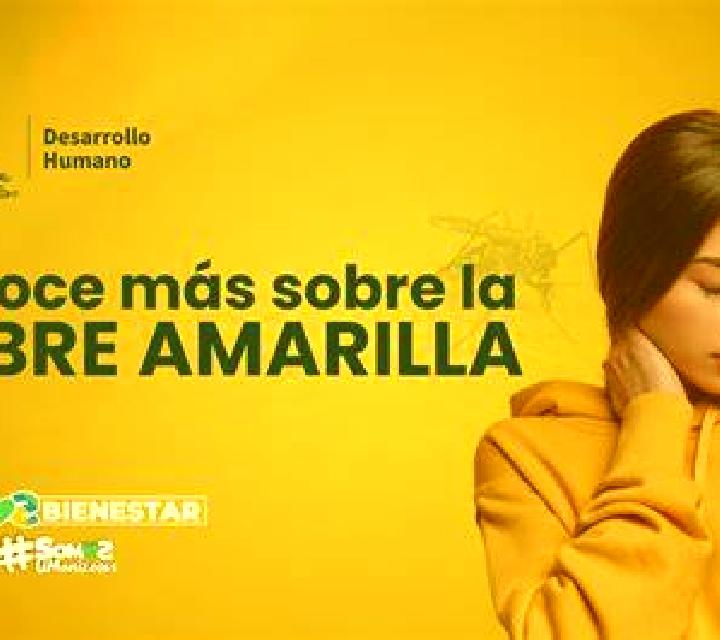 Alejandra Condemios de Arriba escort