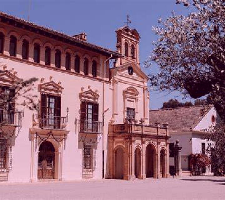 Amanda 3 Marazuela escort