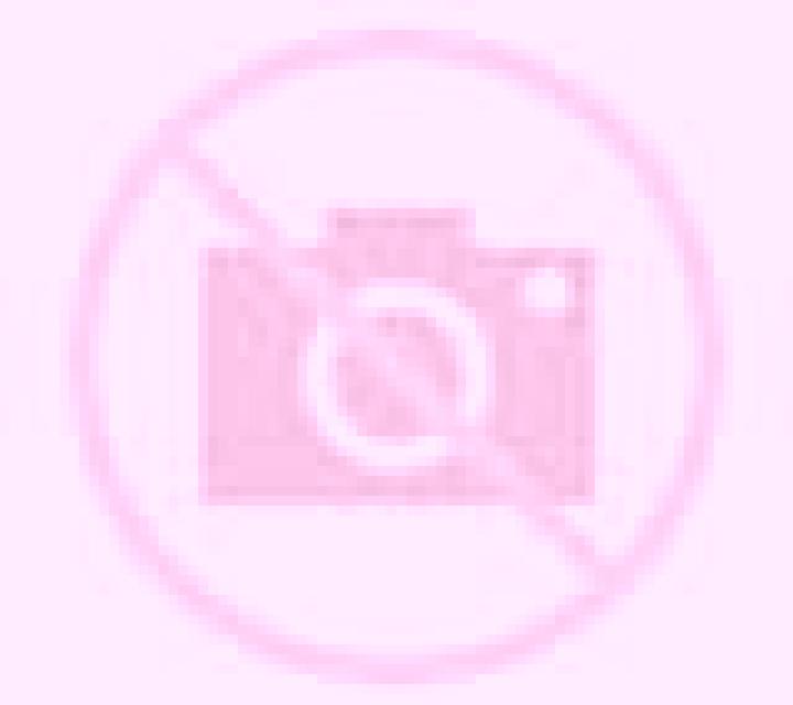 Amanda Campins escort