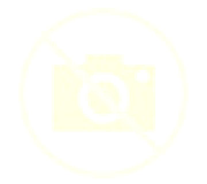 Amanda Sobradelo escort