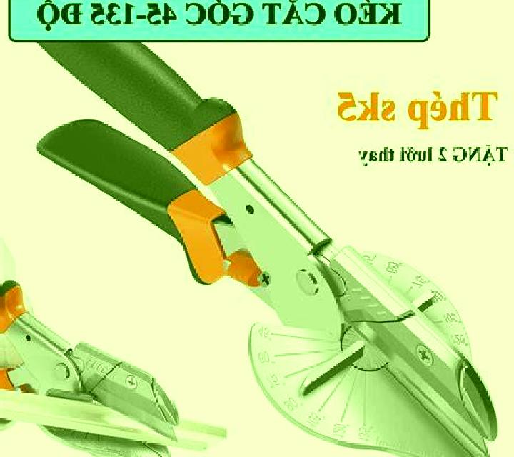 Amaya Cajar escort