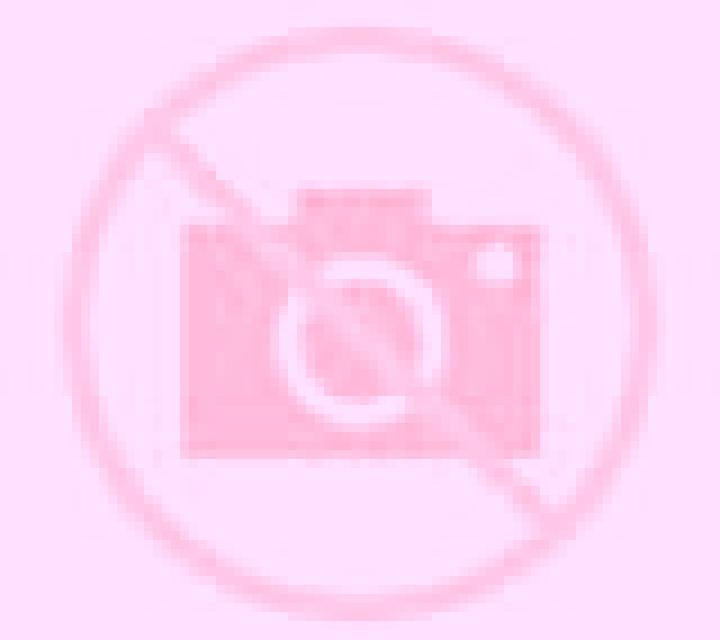 Andrea 3 Samaniego escort