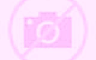 Andrea Tollos escort