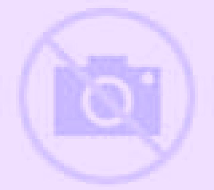 Andrea Venturada escort