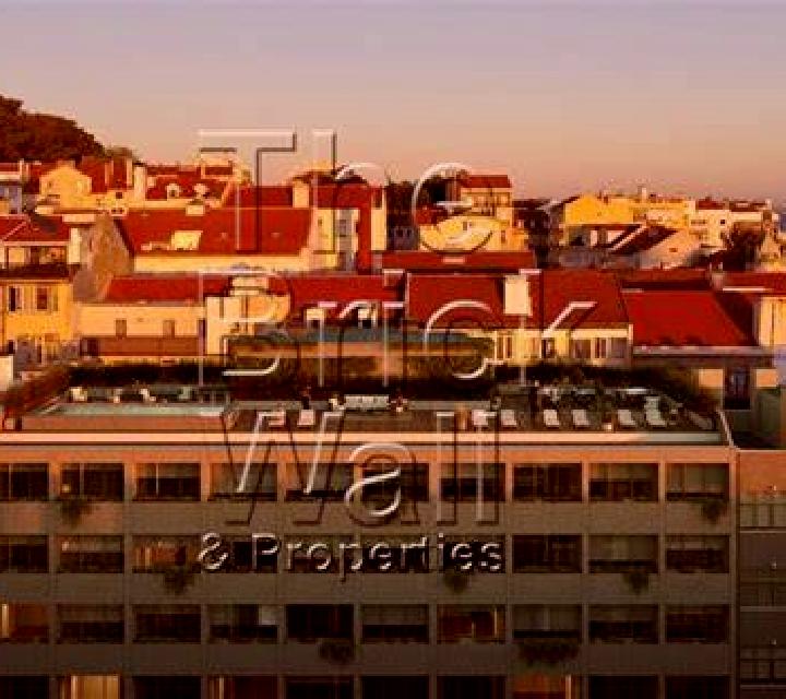 Antonella Frechilla escort
