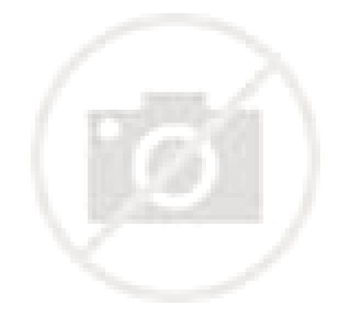 Antonella Nino Jesus escort