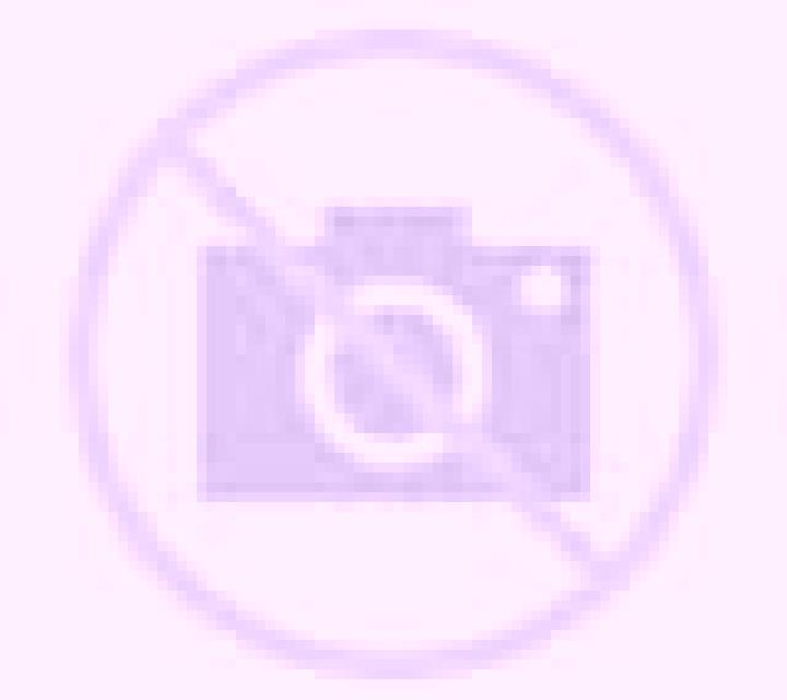 Antonella Sotragero escort