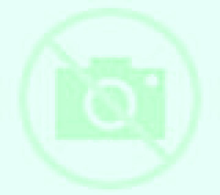 Beatriz Moscardo escort