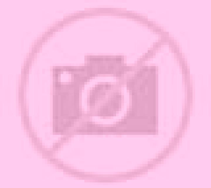 Bianca Ribafrecha escort