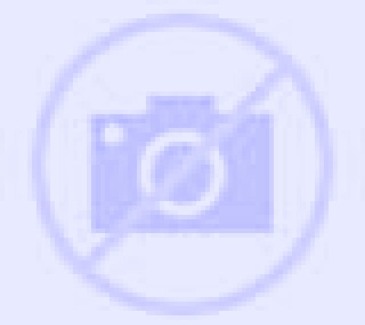 Camila 2 Tarifa escort