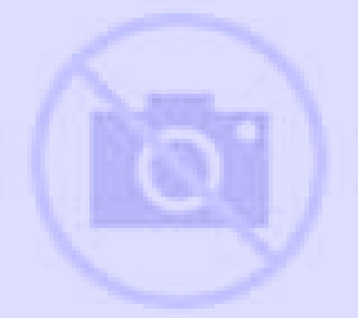 Camila 3 Campina escort