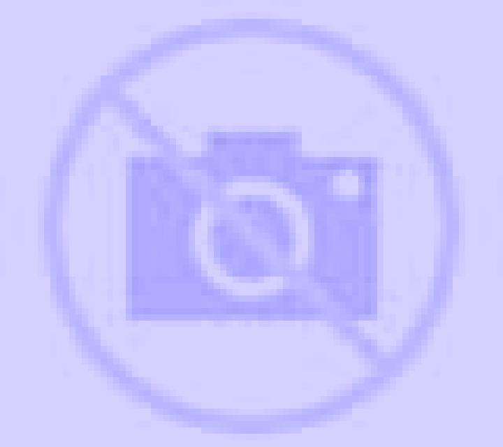 Camila 3 Cerezo escort
