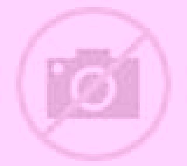 Camila 3 Olocau del Rey escort