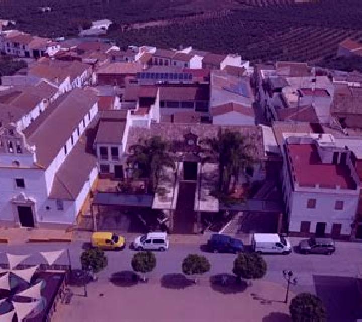 Cayetana Santa Comba escort