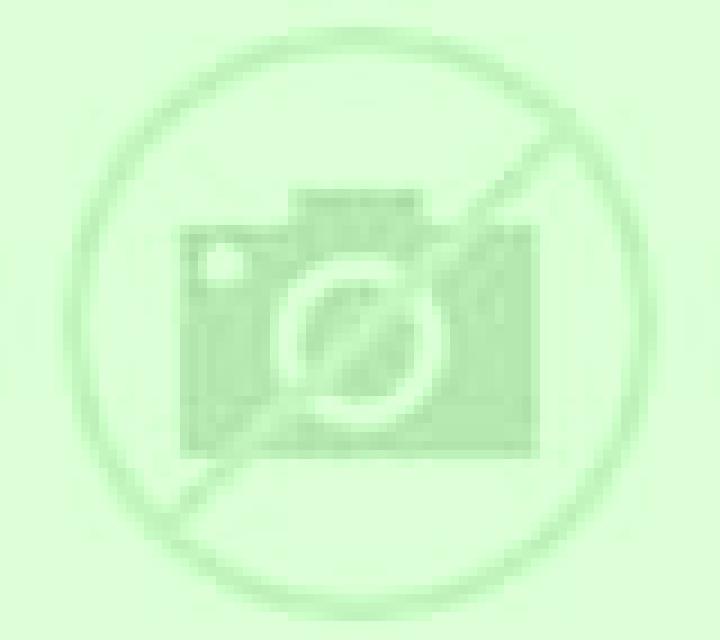 Cecilia Armenteros escort