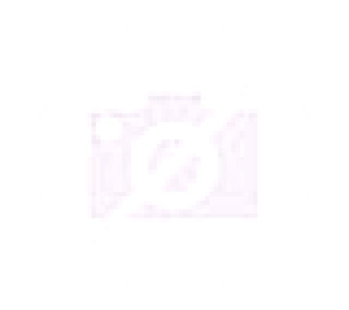 Cecilia Novallas escort