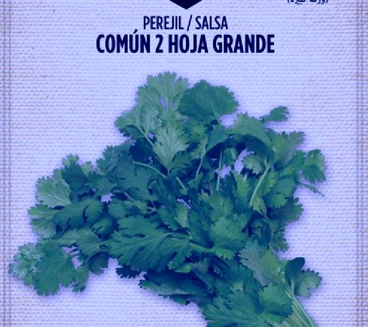 Cielo 2 Juviles escort