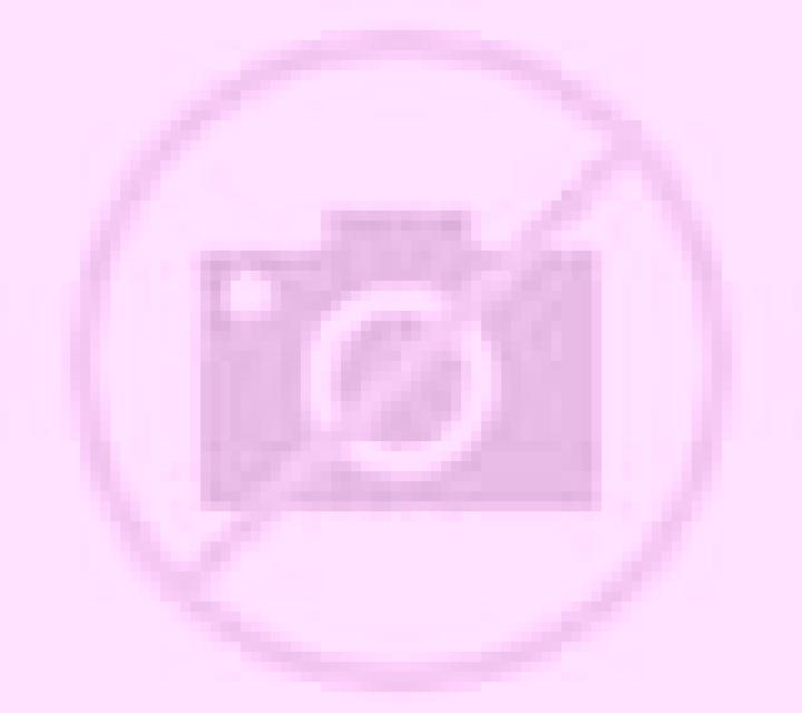 Cielo Camporrobles escort