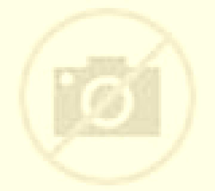 Claudia Galar escort