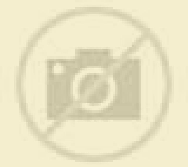 Cristina Alborea escort