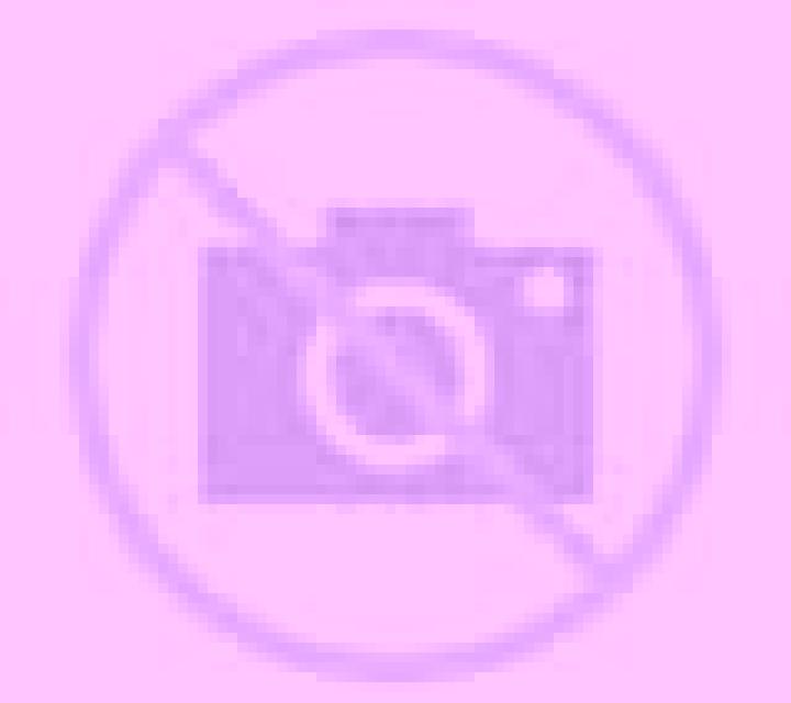 Cristina Ayna escort