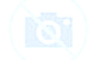 Cristina Benirredra escort
