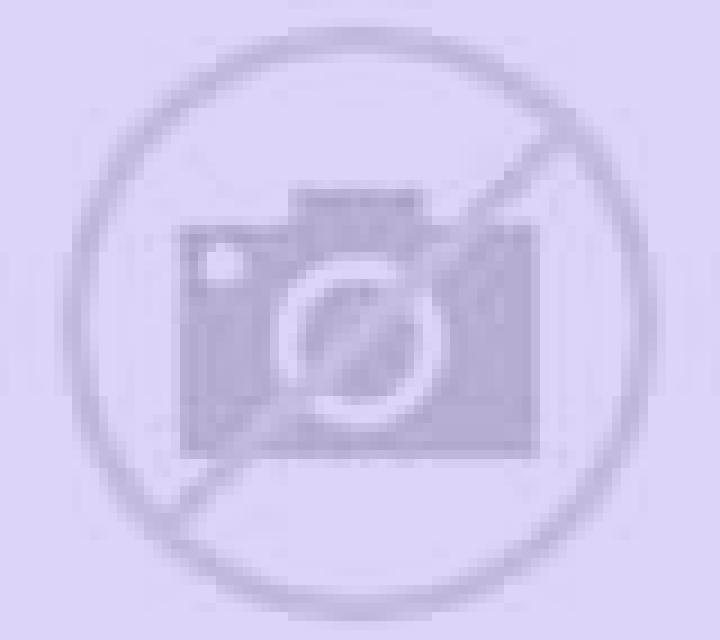 Cristina Torrejon del Rey escort