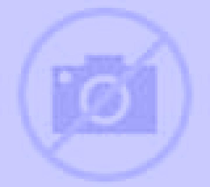 Daniela Belmonte de Campos escort