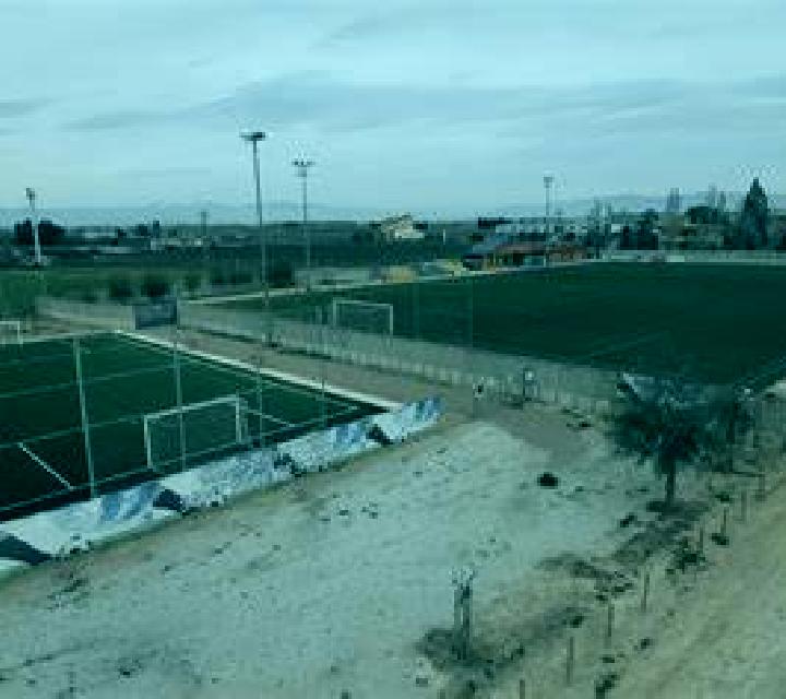 Daniela Vergel escort