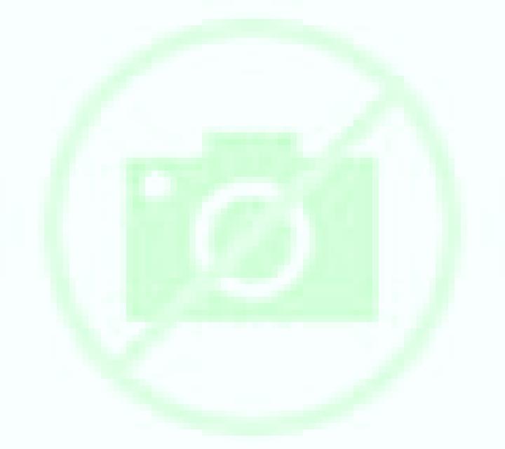 Daniela Villahan escort
