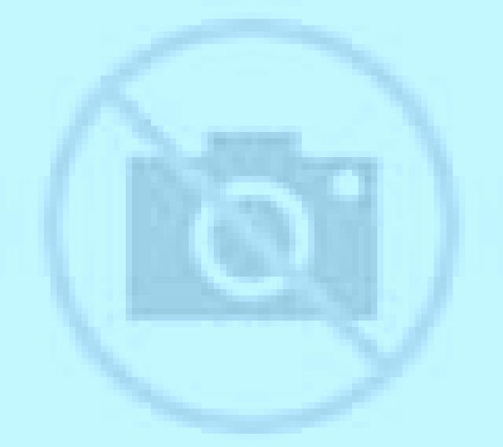 Diana Huetor Santillan escort