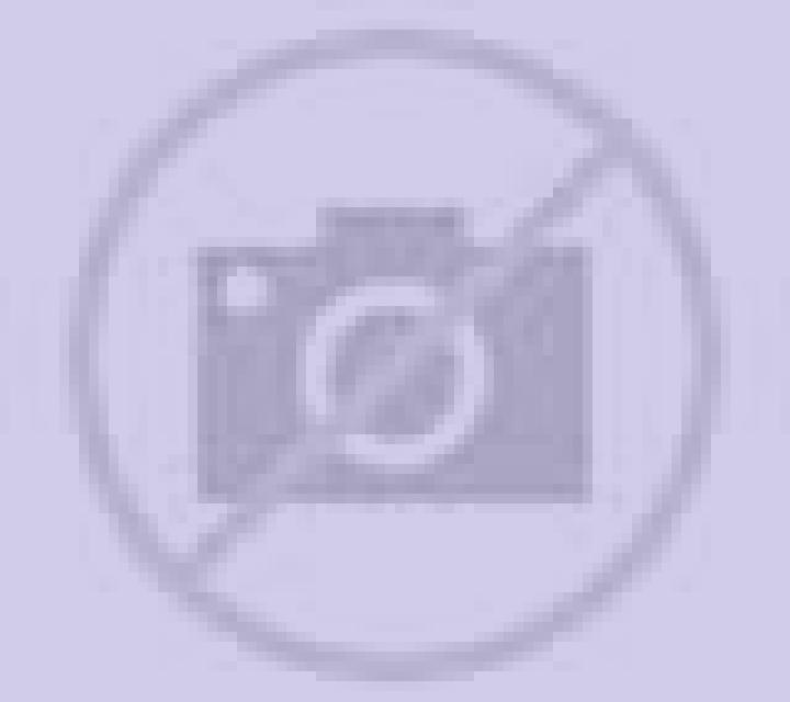 Diana Montoro escort