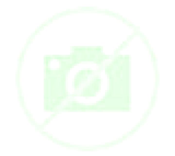 Diana Portas escort