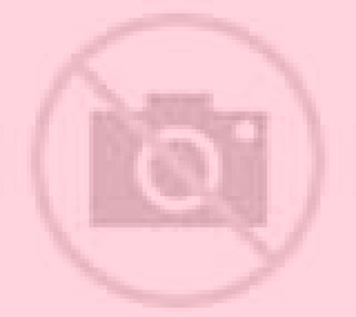 Elena Munosancho escort
