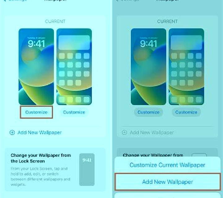 Elena Sienes escort
