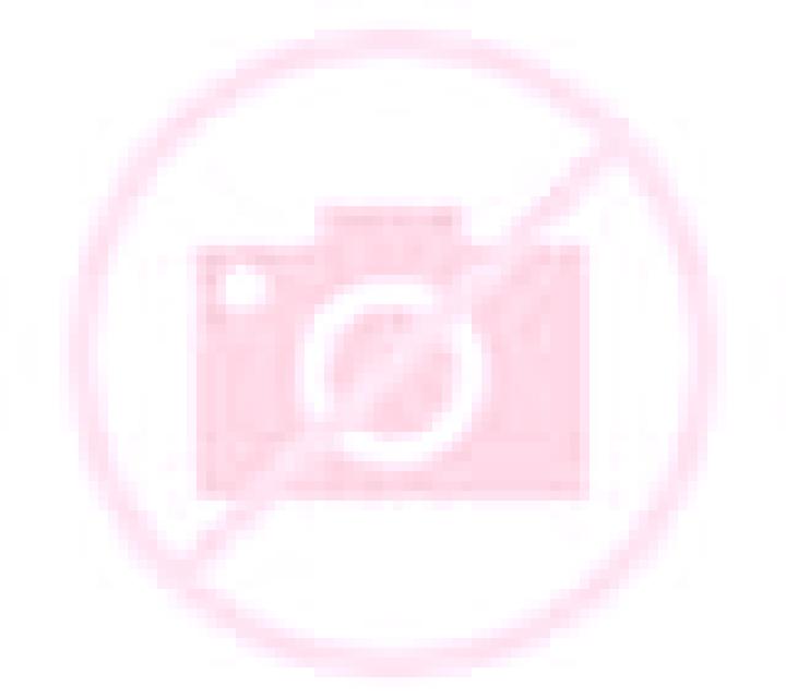 Elena Sorbas escort