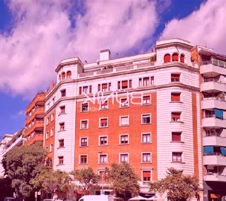 Estrella Tulebras escort