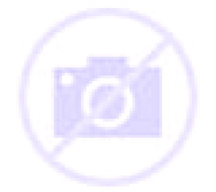 Gabriela Geria escort