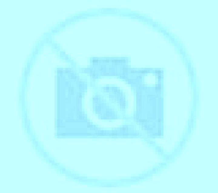 Irene 2 Punxin escort
