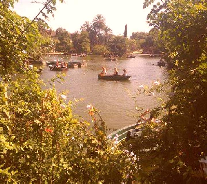 Irene 3 El Plantio escort