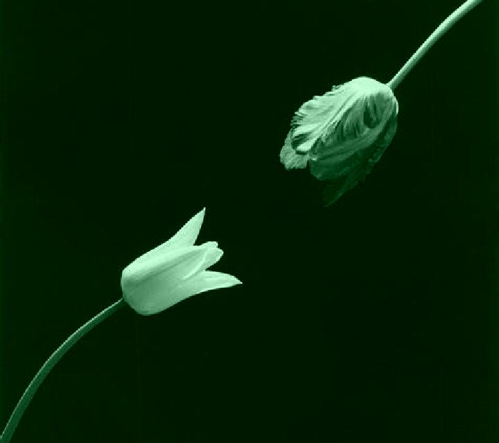 Irene 3 Tarragona escort