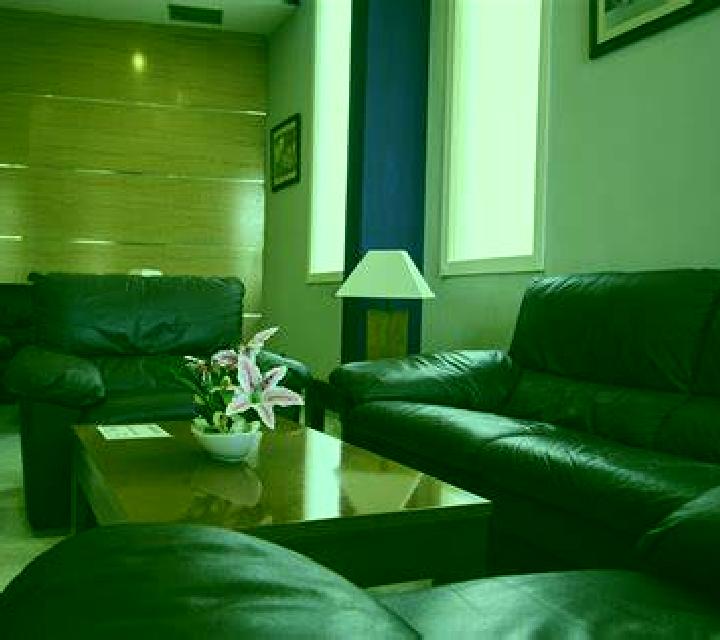Josefina 2 Gargantilla escort