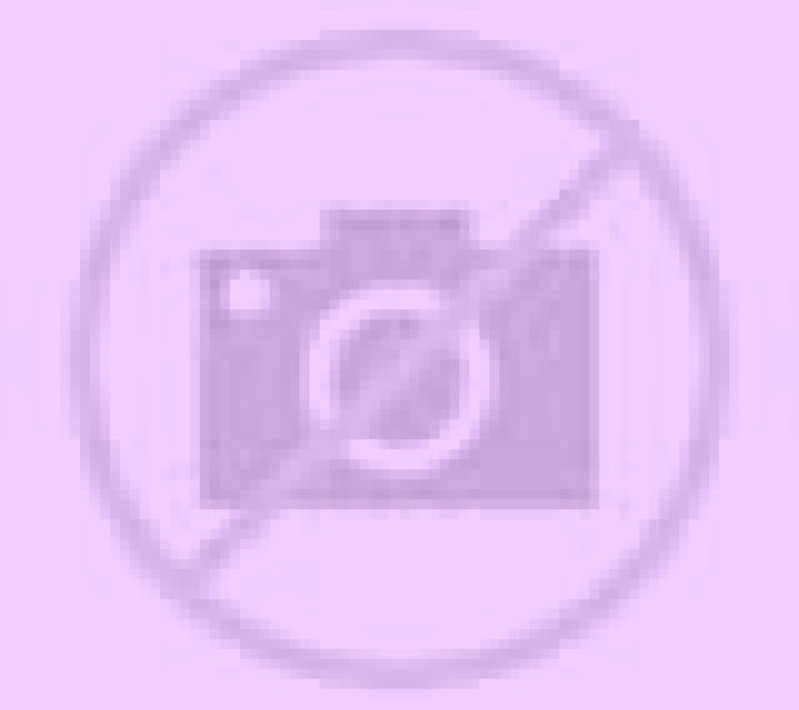 Josefina Betancuria escort