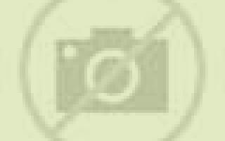 Julia 3 Castaras escort